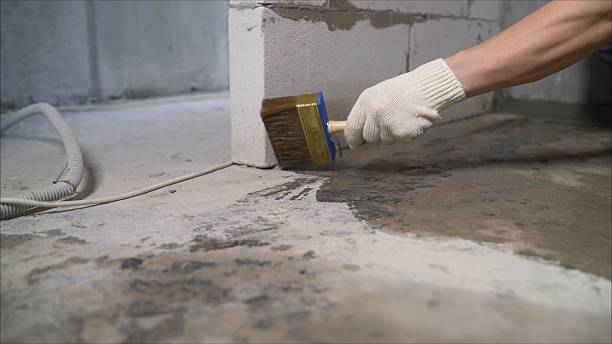 SJ Waterproofing Pros Crawl Space Encapsulation coverage map for Palatine, IL and surrounding area
